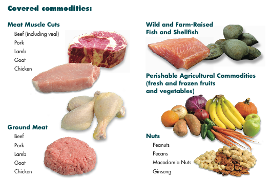 Identifying fresh vegetables - Nutrition